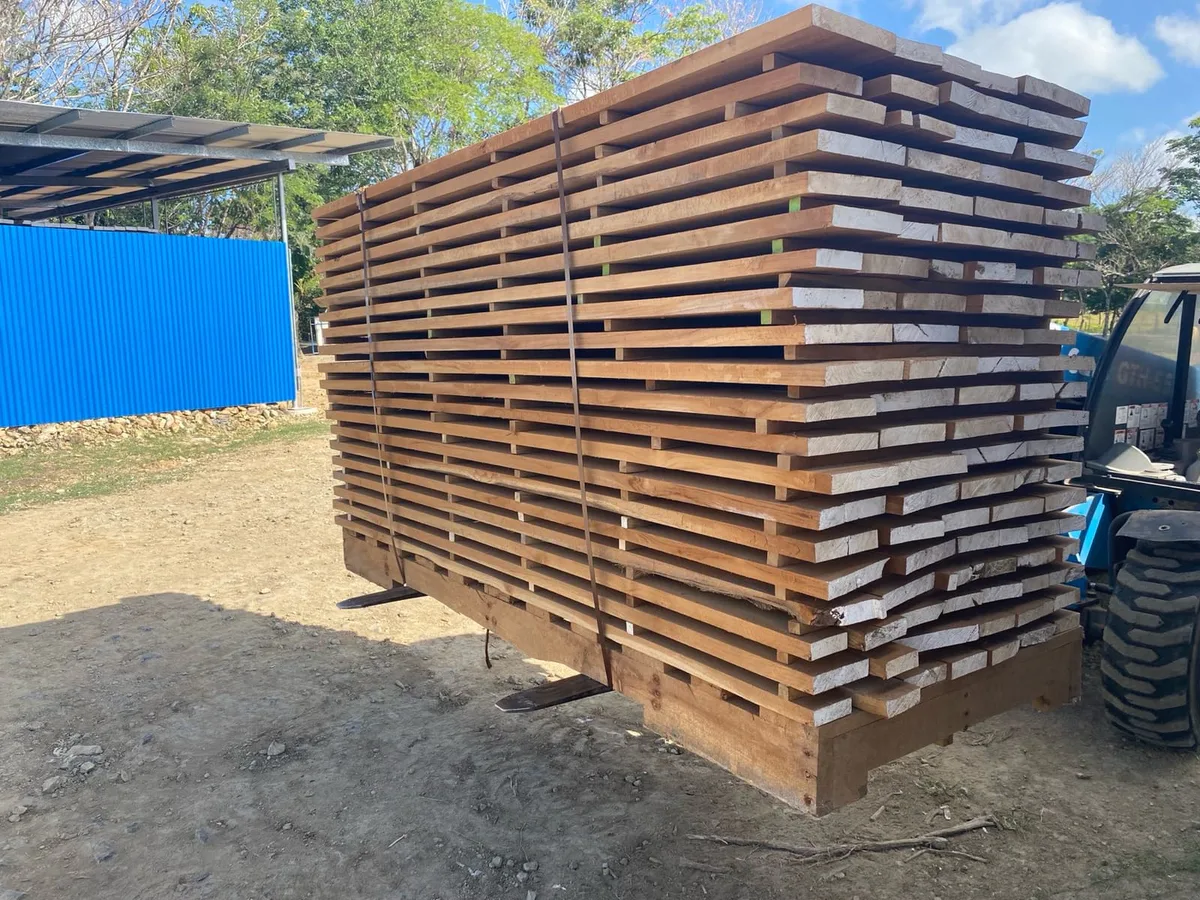 Freshly sawn teak boards stacked and strapped on a pallet